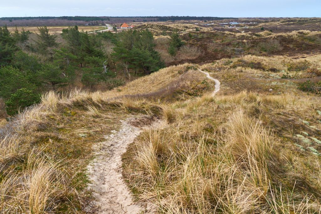 Duinen Texel