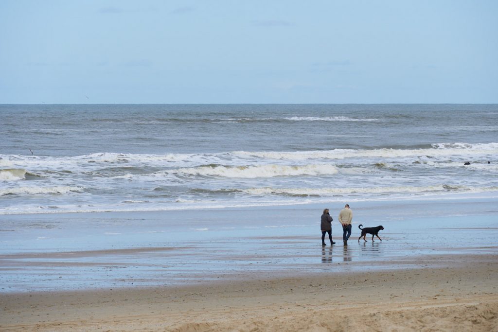 Noordzeestrand Texel