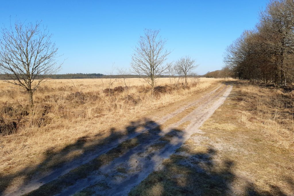 Duurswouderheide