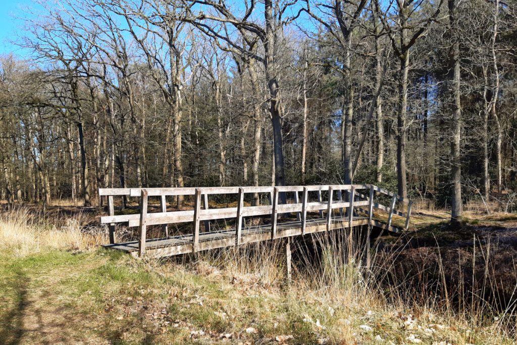 Landgoed De Slotplaats Wijnjewoude
