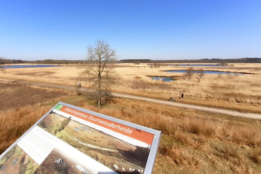 Observatiepunt Duurswouderheide