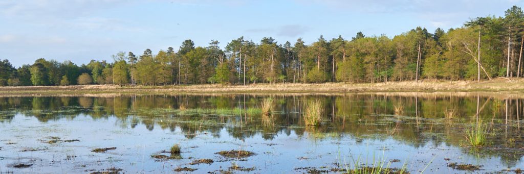 Koelevaartsveen | 6 km