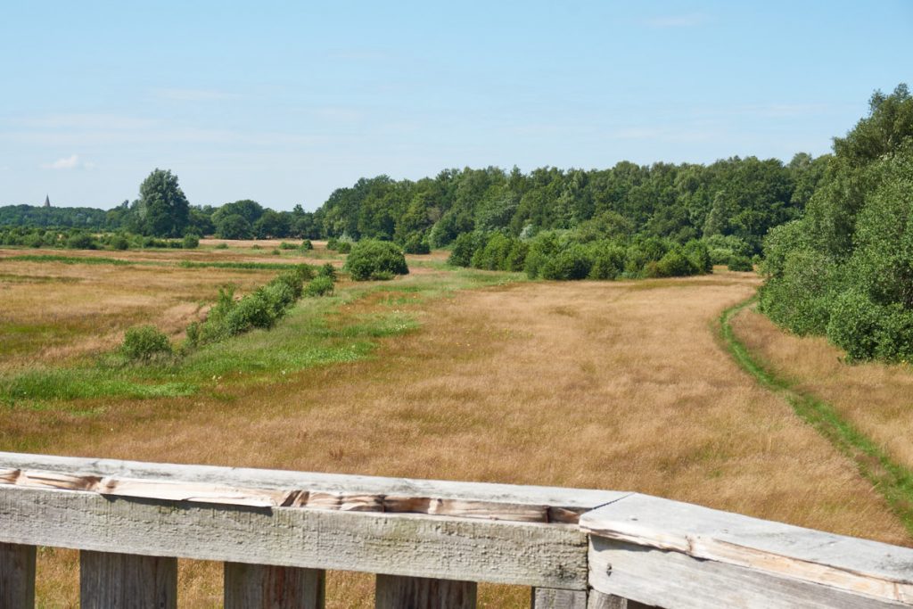 Uitzicht vanaf de uitkijktoren Westerwolde