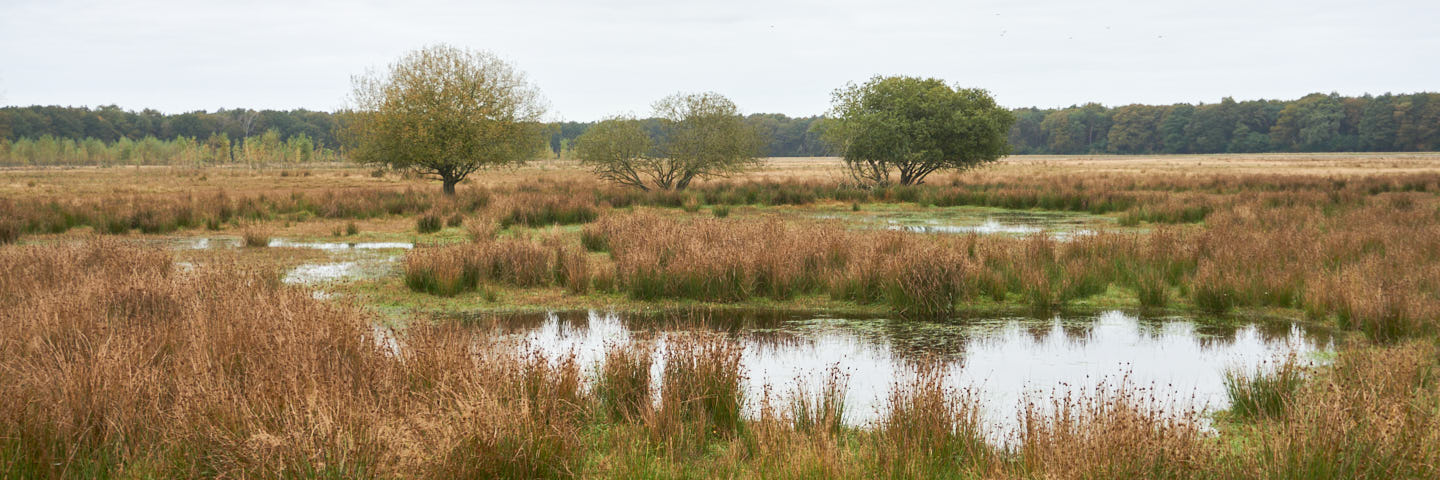 Weg van Oud-Avereest | 14 km