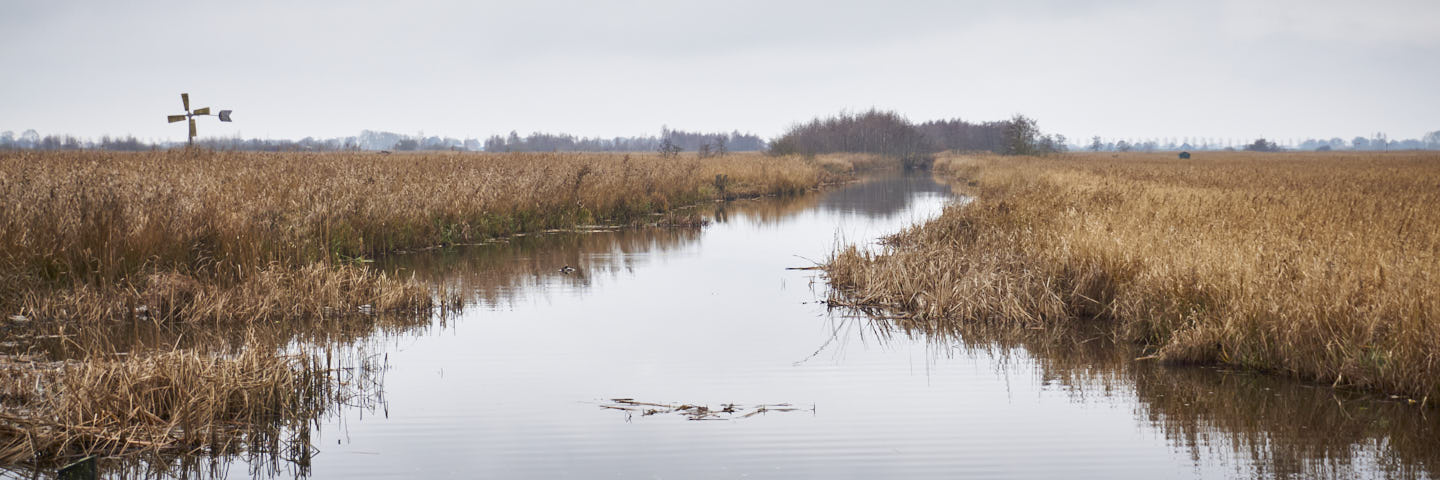 wandelroute Weerribben