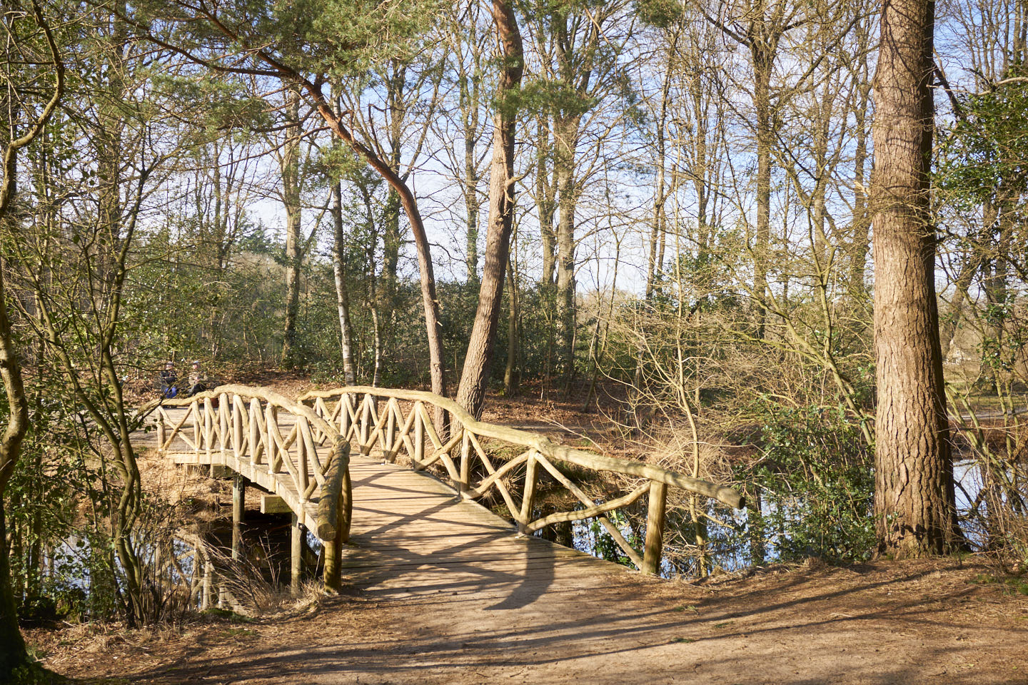 Romantisch houten brug in Fonteinbos Oudemirdum