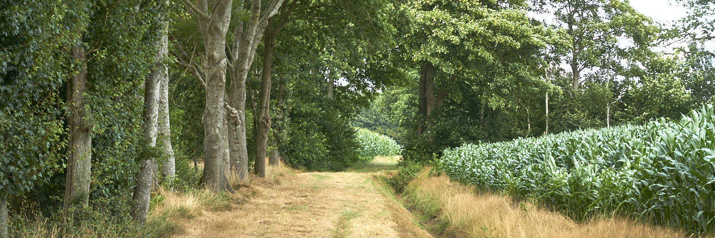 Weg van Paasloo | 6 km