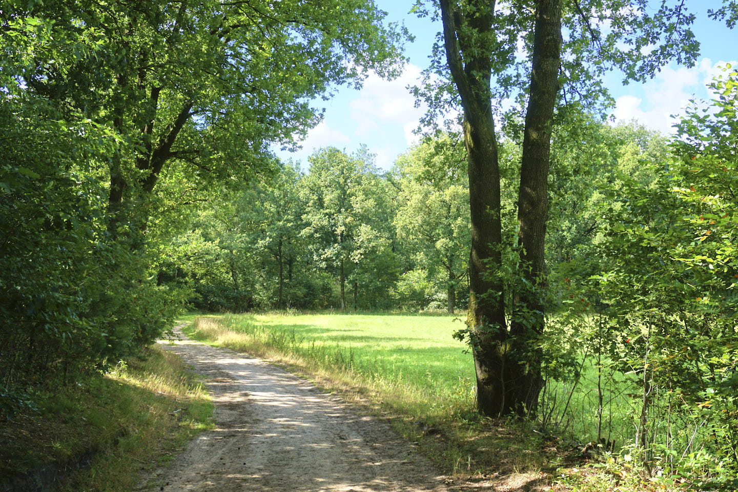 Landgoed Junne