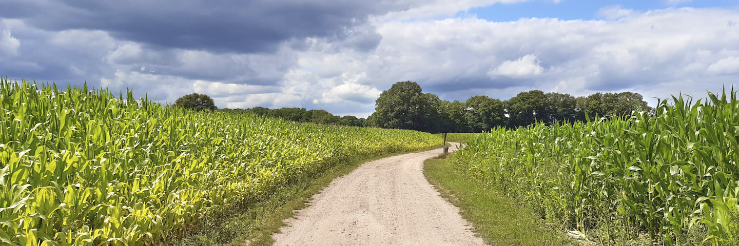 Weg van Junne | 15 km