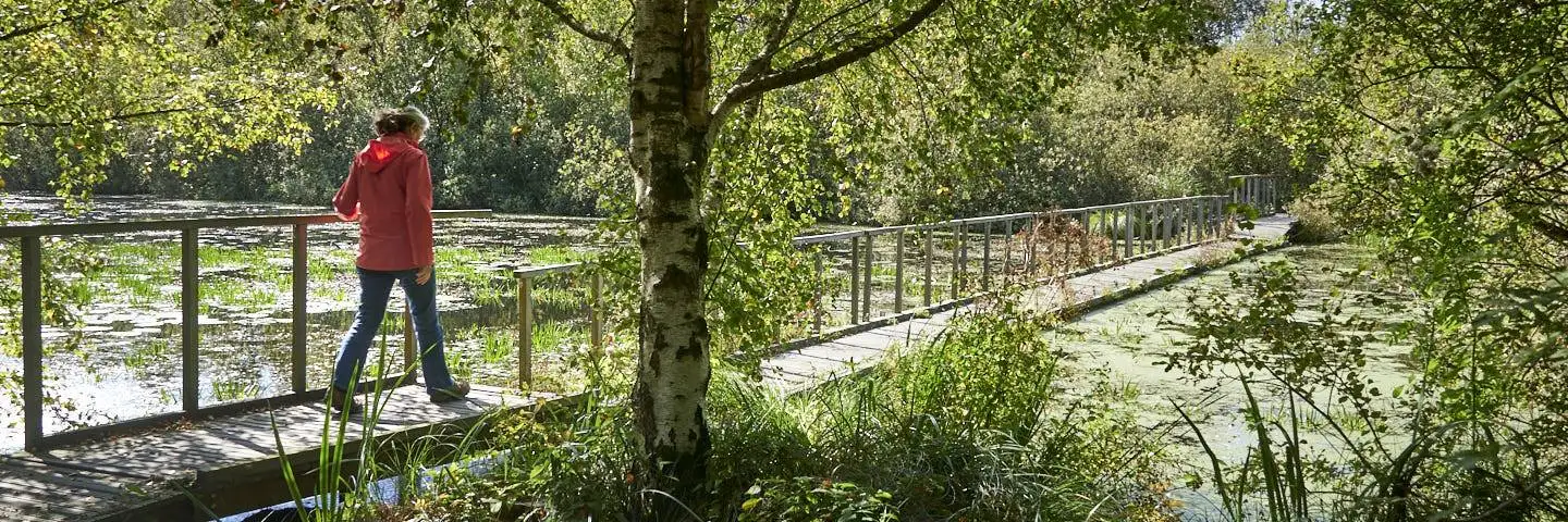 Weg van De Deelen | 5 km