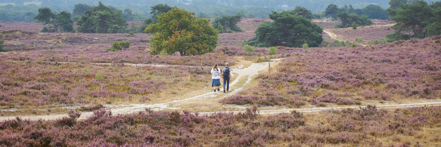 Weg van Lemelerberg | 12 km