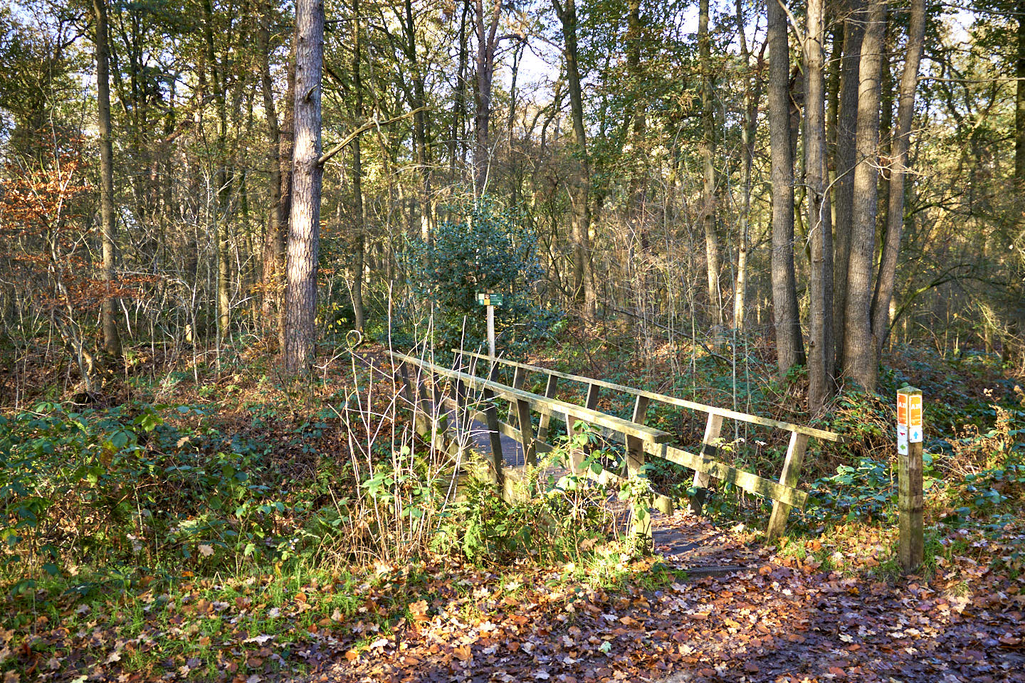 Houten brug in Heuveltjesbos