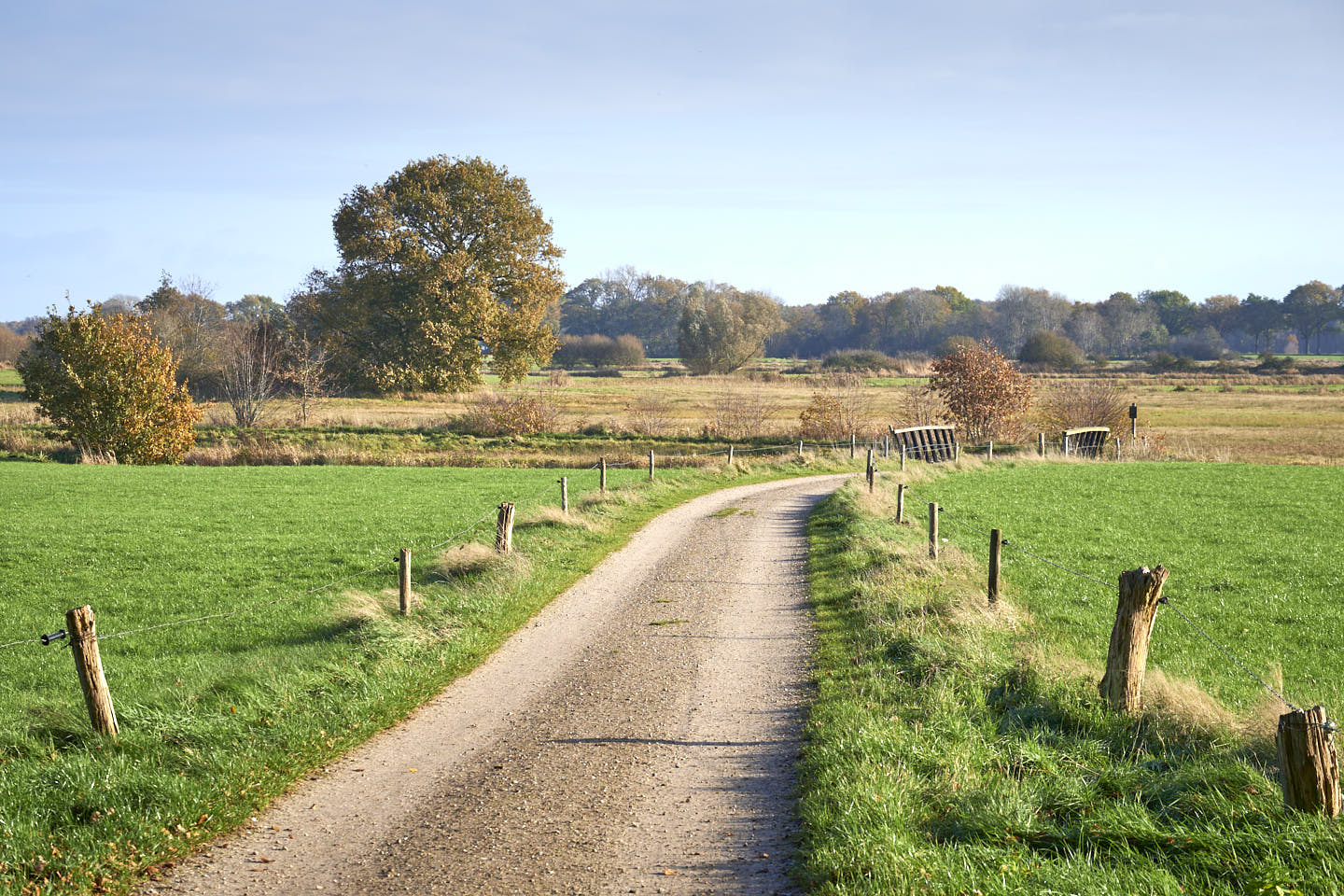 Wandelpad door het Reestdal