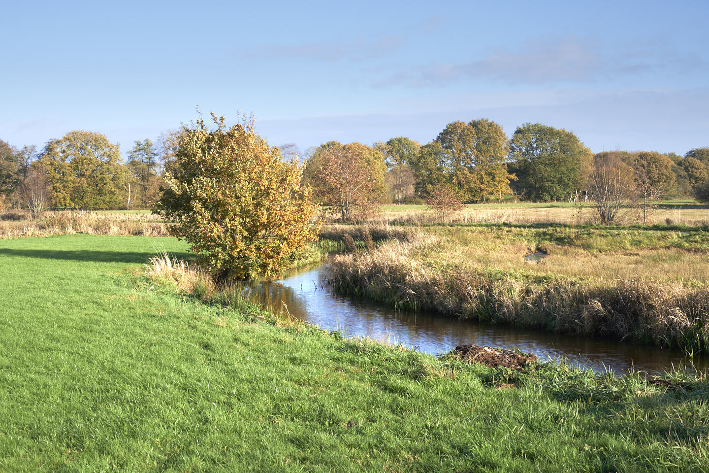 Kronkelende rivier De Reest met bomen in herfstkleuren