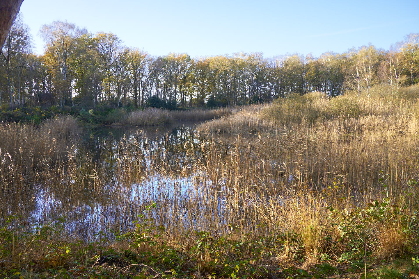 Water op Landgoed Katigerbos