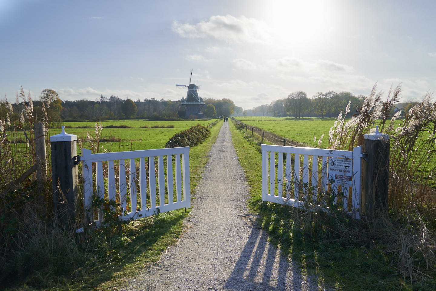 Korenmolen De Star Blauwe route Balkbrug