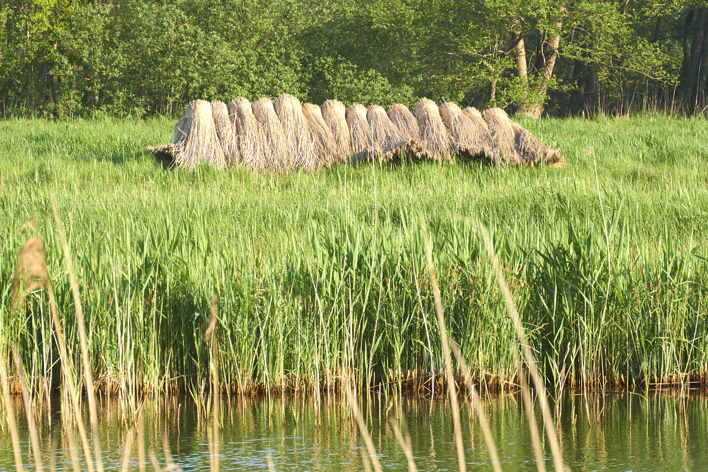 wandelroute Kalenberg Kalenberger riet