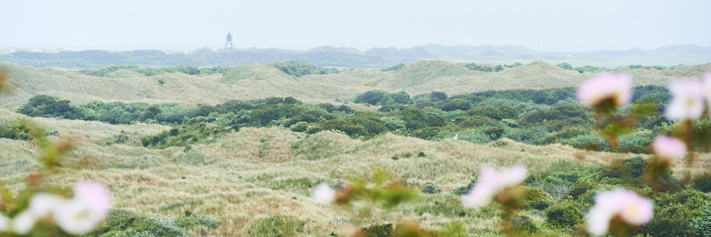 Weg van Het Oerd – Ameland | 7 km