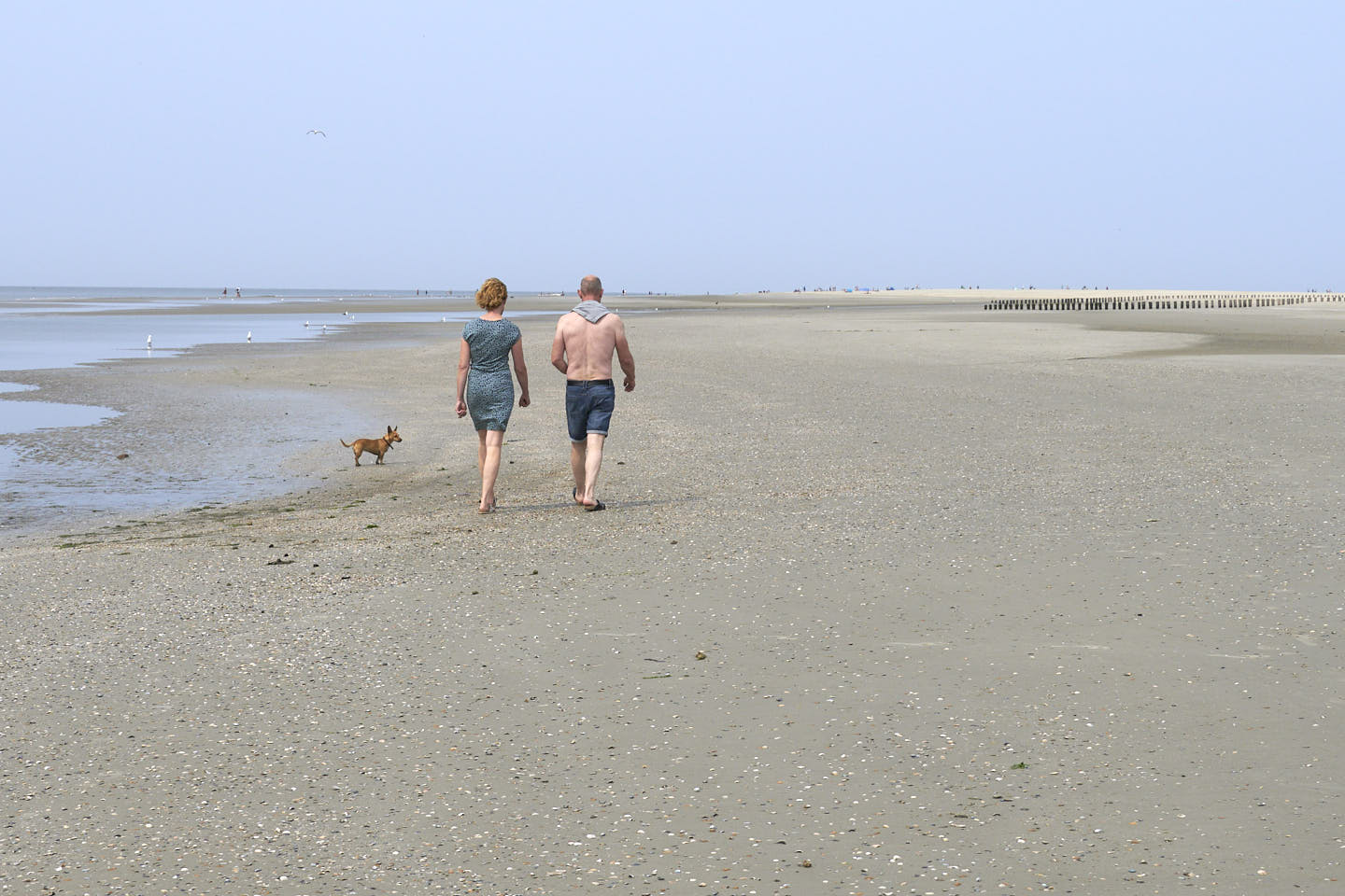 Noordzeestrand wandelroute Hollum Ameland