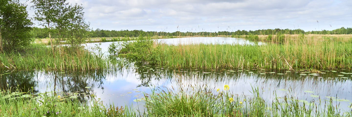 Weerribben-Wiedenpad 6: Ossenzijl – Oldemarkt | 16 km