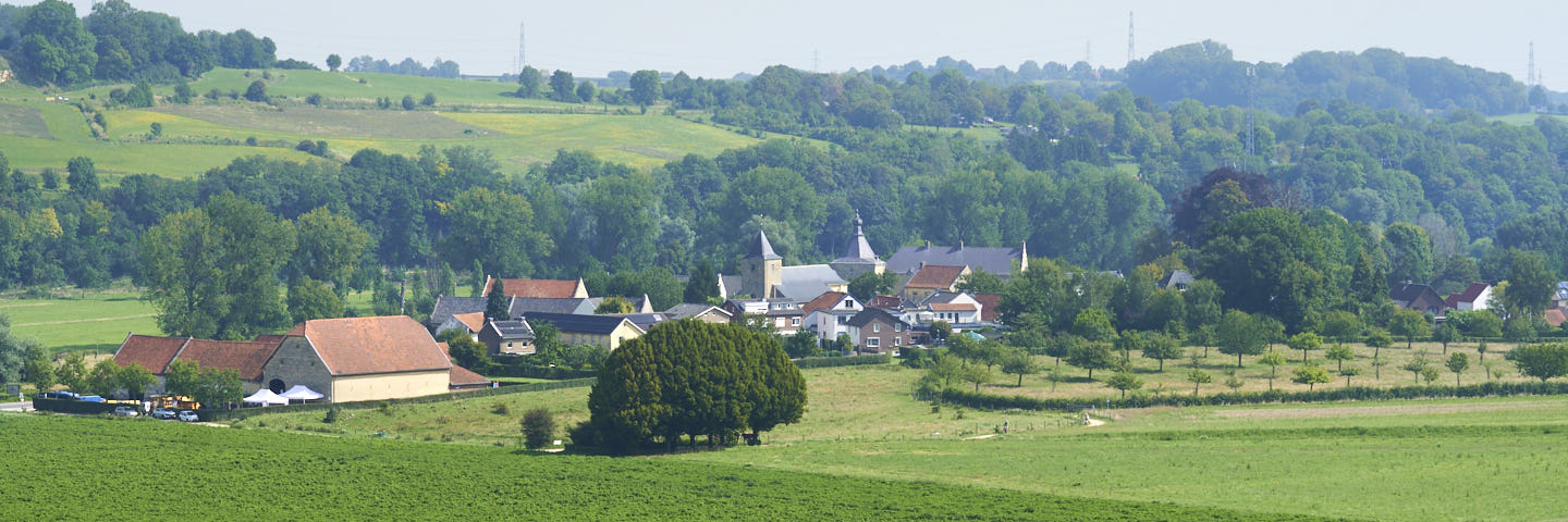 Weg van Schin op Geul | 11 km