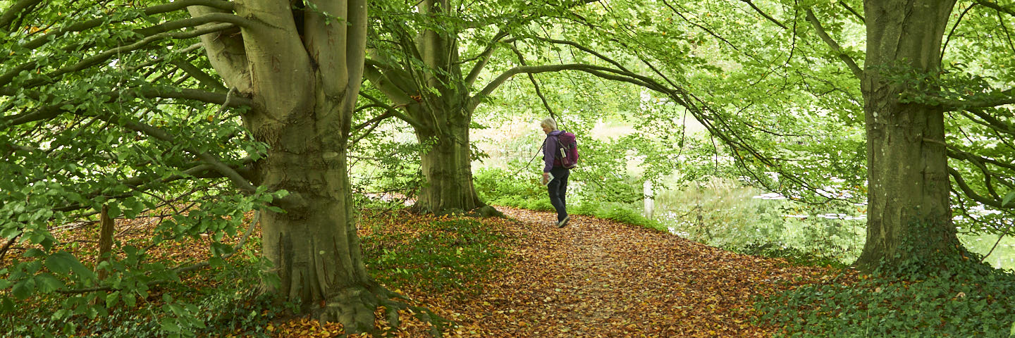 Graafschapspad 6: Halle-Doetinchem | 16 km