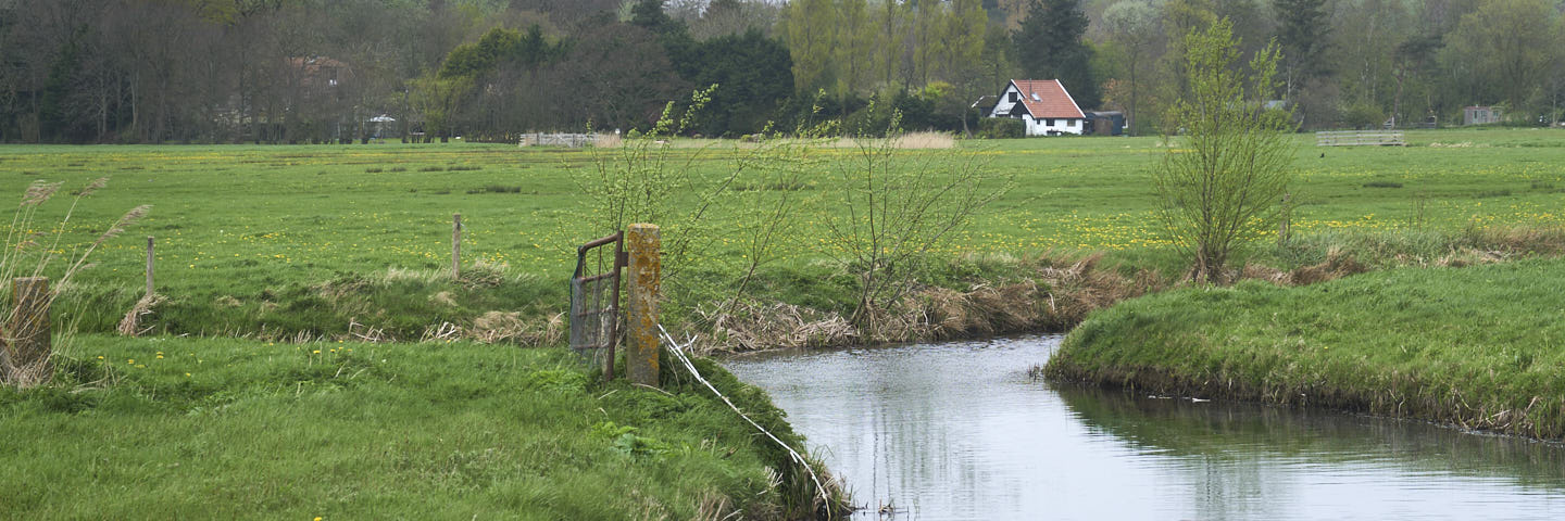 Paarse wandelroute Bergen