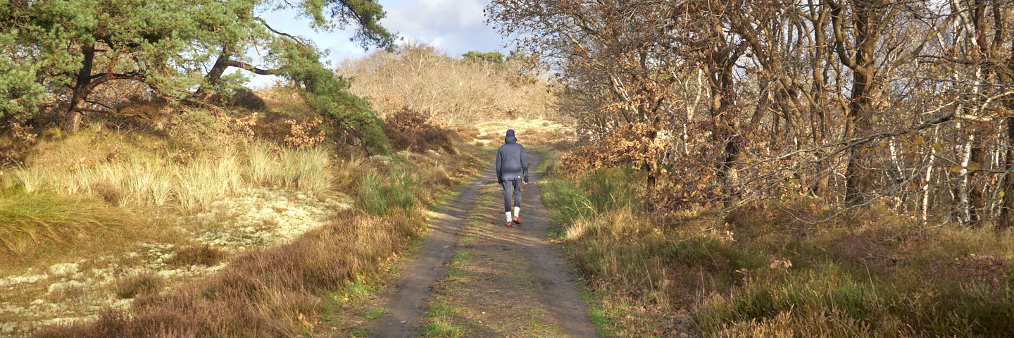 Museumwandeling Bergen 8 km