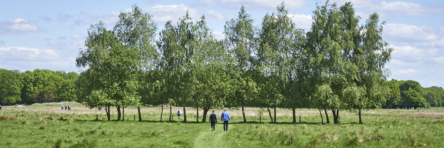 Westerwolde Bevrijdingswandeling 2025 | 12 km