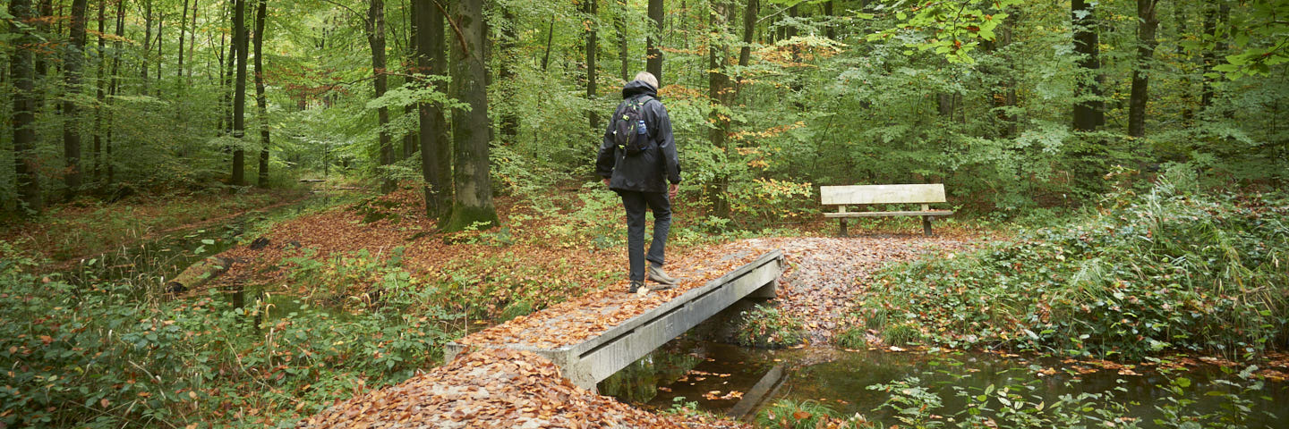 Kortweg Waterloopbos | 7 km