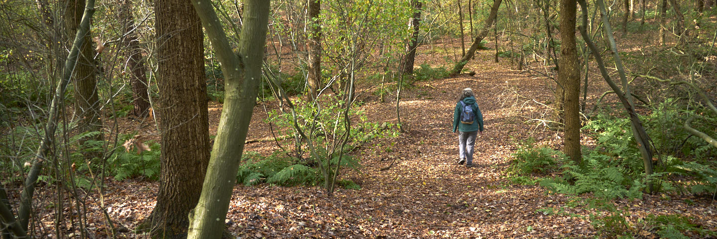 Kortweg Ommerschans-Balkbrug | 8 km