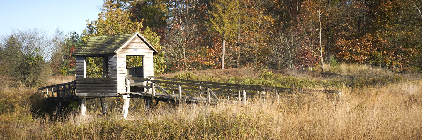 Weg van Rheeze | 13 km