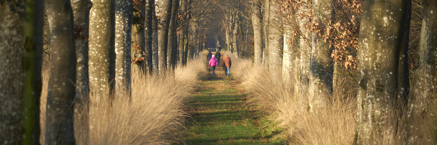 Weg van Katlijk | 13 km