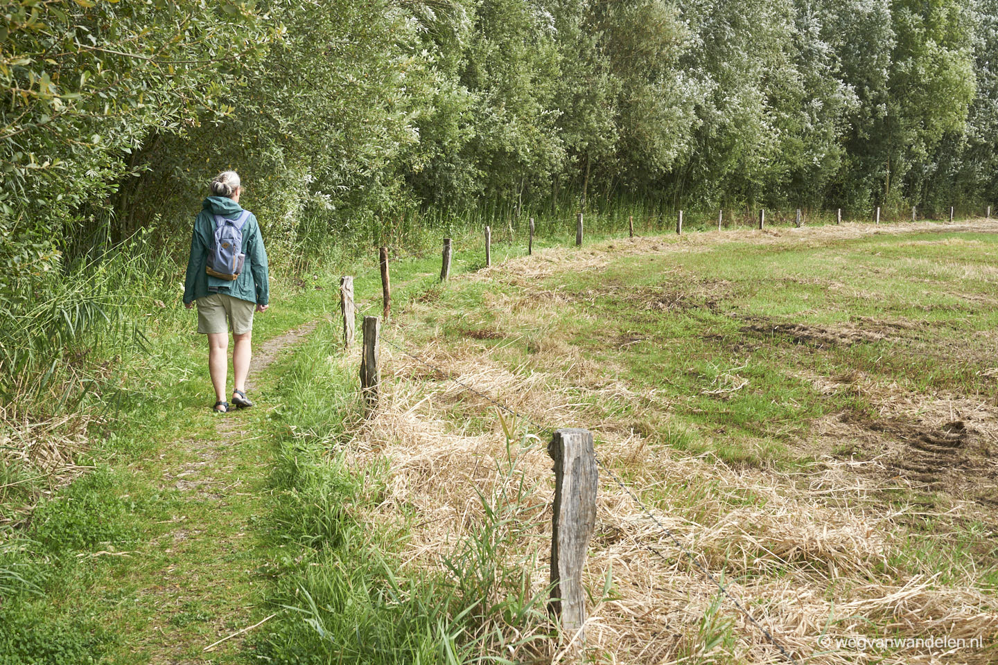 Hertme gele wandelroute - Smal wandelpad