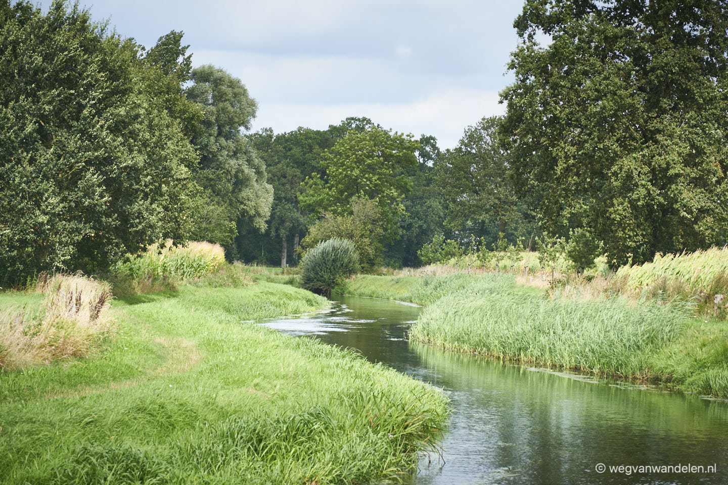 Hertme gele wandelroute - Bornsche Beek