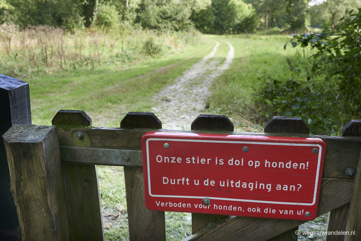 Umfassungsweg - Stier dol op honden