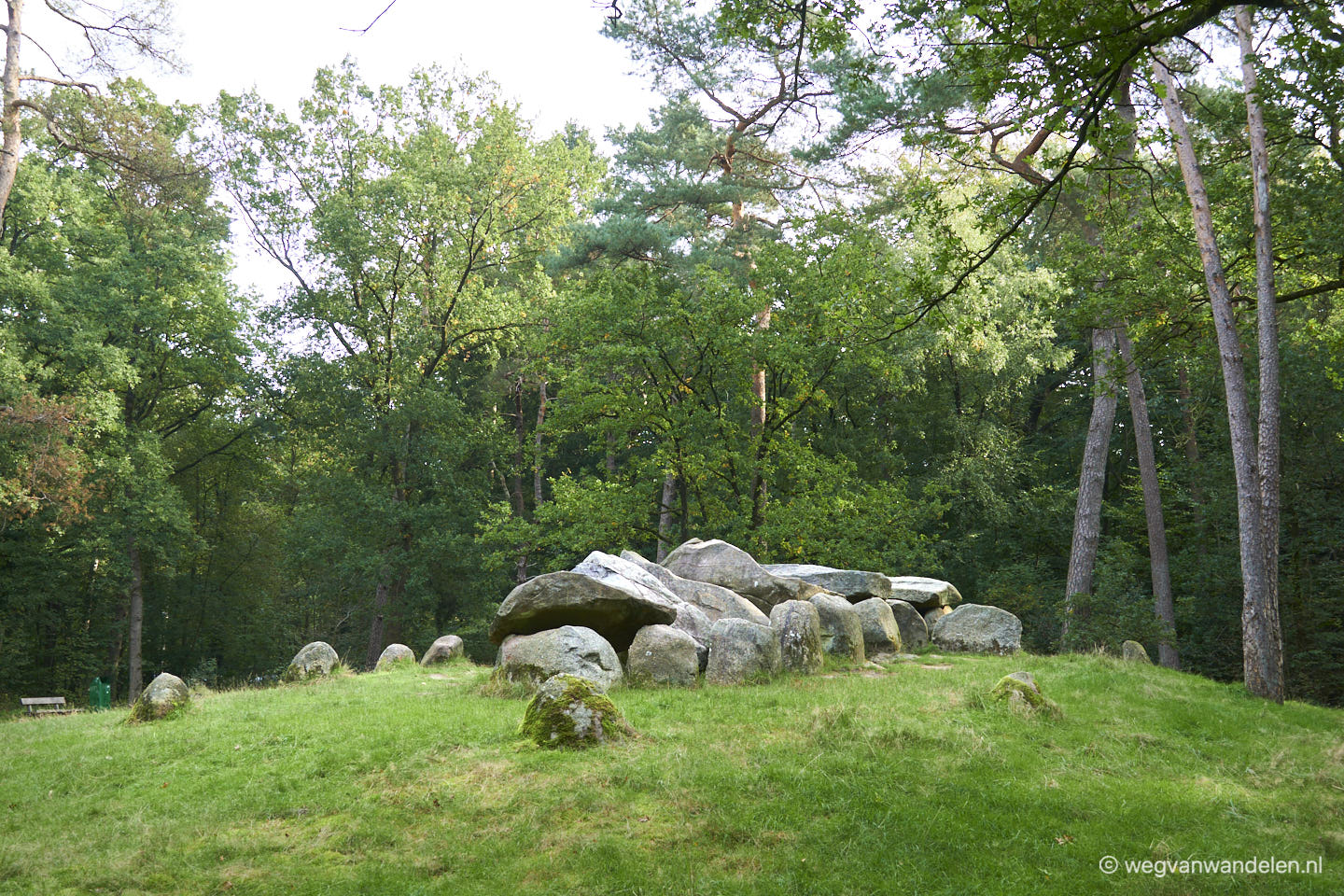 wandelroute Emmerdennen - Hunebed D45