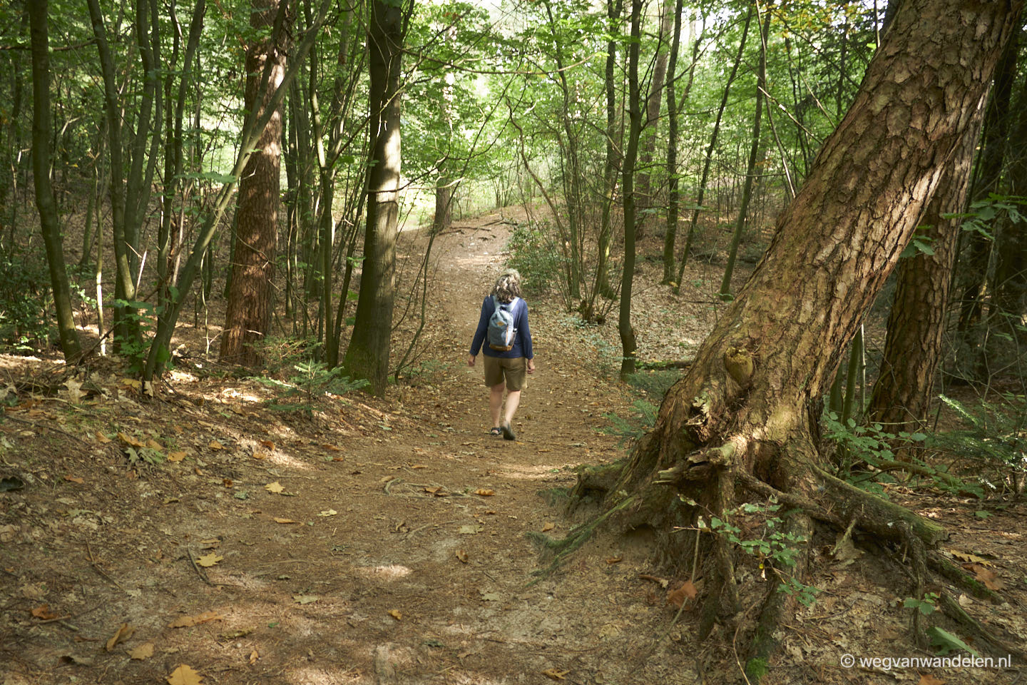 wandelroute Emmerdennen -