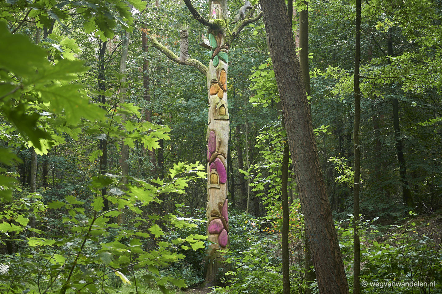 wandelroute Emmerdennen - Kabouterpad
