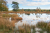 Holtveen