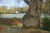 Wandelroute-Landgoed-Eerde-Vechtdal-13km_03