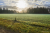 Wandelroute-Landgoed-Eerde-Vechtdal-13km_04