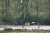 Wandelroute-Landgoed-Eerde-Vechtdal-13km_05