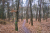 Wandelroute-Landgoed-Eerde-Vechtdal-13km_06