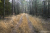 Wandelroute-Landgoed-Eerde-Vechtdal-13km_07