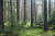 Wandelroute-Landgoed-Eerde-Vechtdal-13km_09