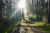 Wandelroute-Landgoed-Eerde-Vechtdal-13km_14