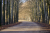 Wandelroute-Landgoed-Eerde-Vechtdal-13km_18