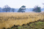 Nijensleekerveld Friese_Woudenpad Wilhelminaoord Steenwijk