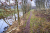 Nijensleekerveld Friese_Woudenpad Wilhelminaoord Steenwijk